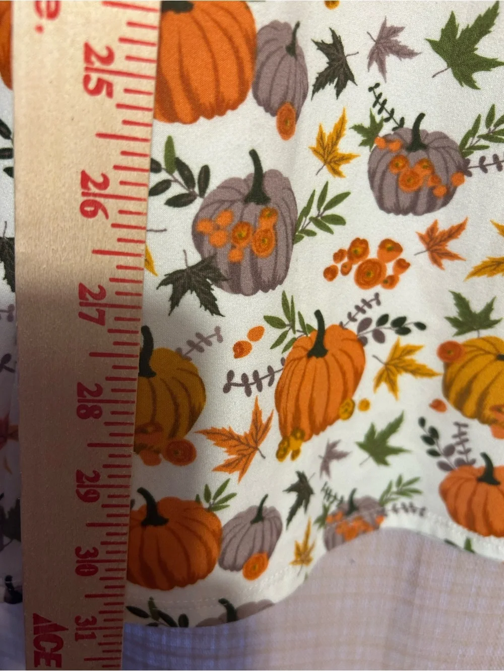 Girls 14 RARE EDITIONS Fall Pumpkin Theme Dress Matching Scarf